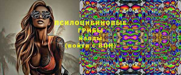 прущие грибы Надым