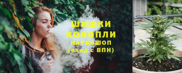 прущие грибы Надым