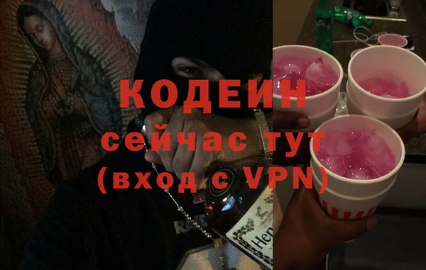 прущие грибы Надым